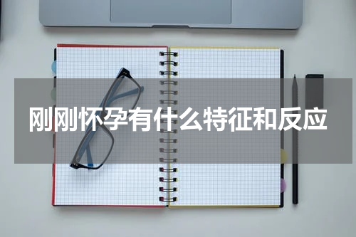 刚刚怀孕有什么特征和反应