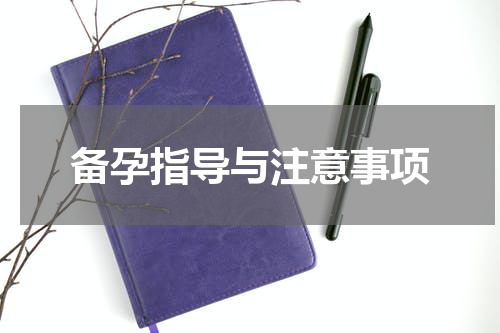 备孕指导与注意事项