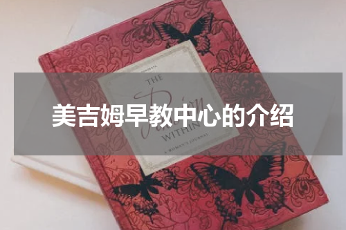 美吉姆早教中心的介绍
