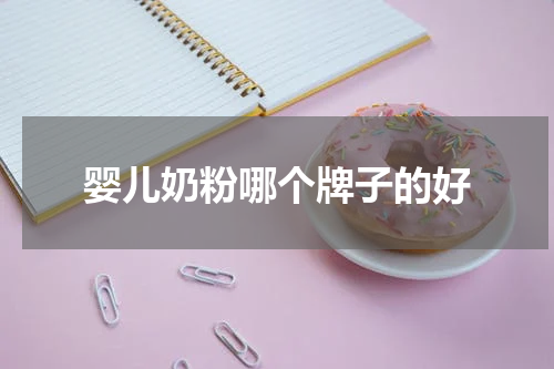 婴儿奶粉哪个牌子的好