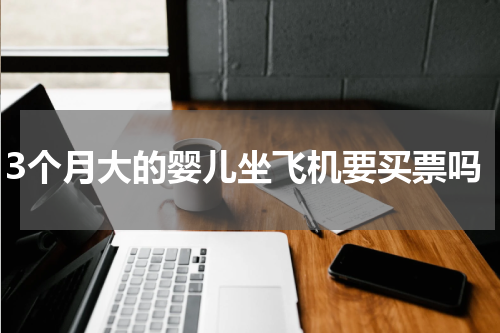 3个月大的婴儿坐飞机要买票吗