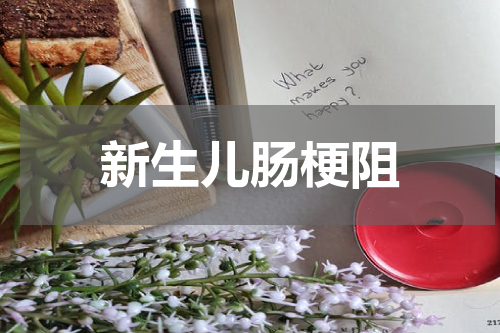 新生儿肠梗阻
