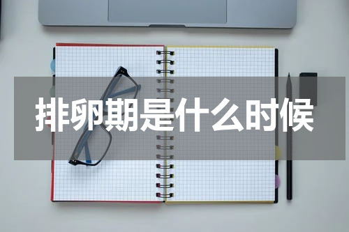 排卵期是什么时候