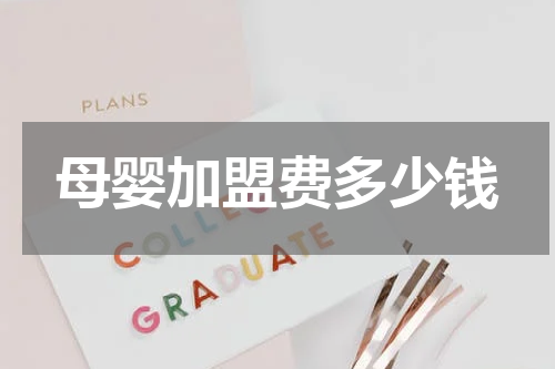 母婴加盟费多少钱