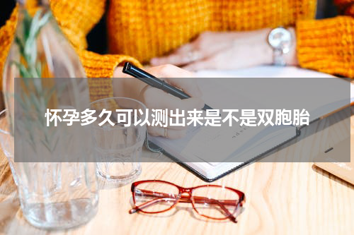 怀孕多久可以测出来是不是双胞胎