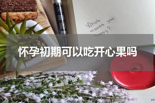 怀孕初期可以吃开心果吗