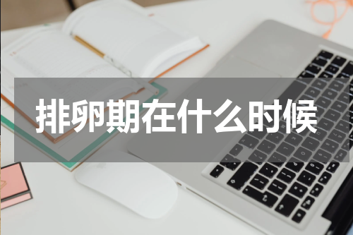 排卵期在什么时候
