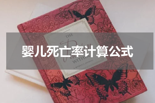 婴儿死亡率计算公式