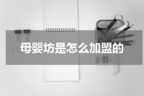 母婴坊是怎么加盟的