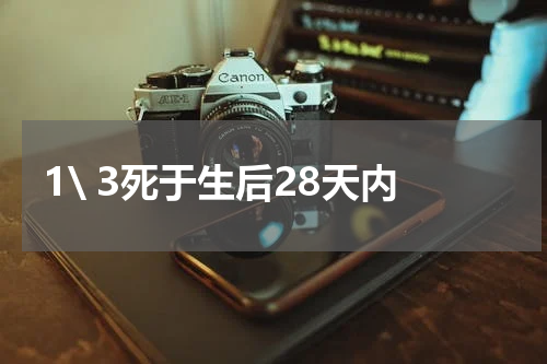 1\ 3死于生后28天内