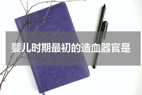婴儿时期最初的造血器官是