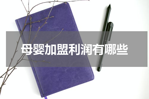 母婴加盟利润有哪些