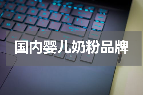国内婴儿奶粉品牌