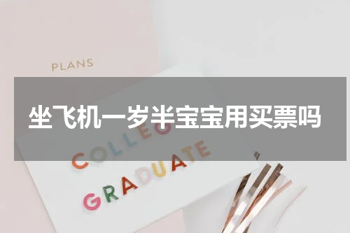 坐飞机一岁半宝宝用买票吗