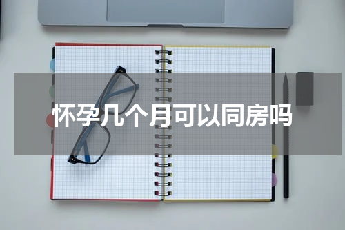 怀孕几个月可以同房吗