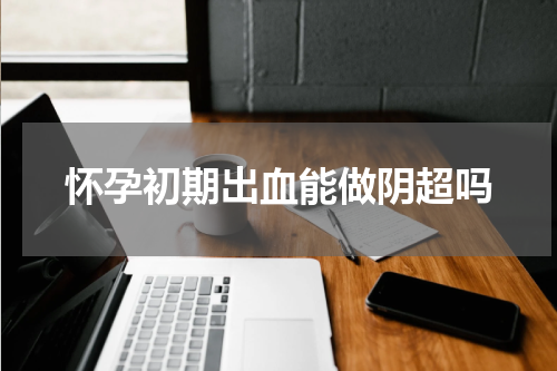 怀孕初期出血能做阴超吗