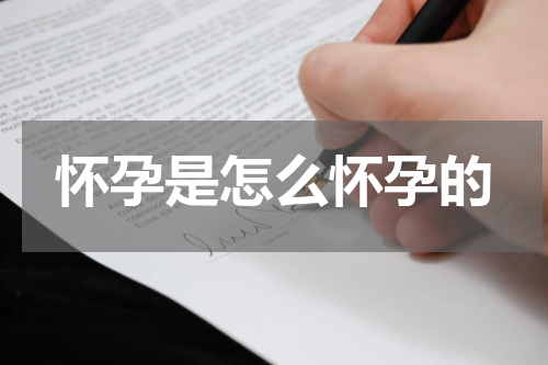 怀孕是怎么怀孕的
