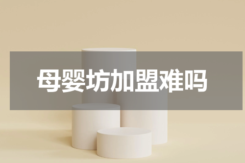 母婴坊加盟难吗
