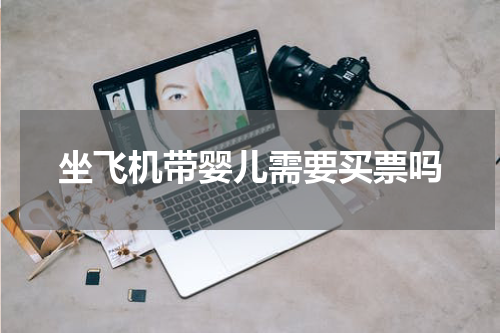 坐飞机带婴儿需要买票吗