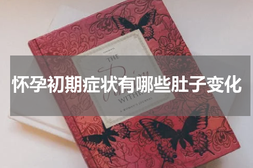 怀孕初期症状有哪些肚子变化