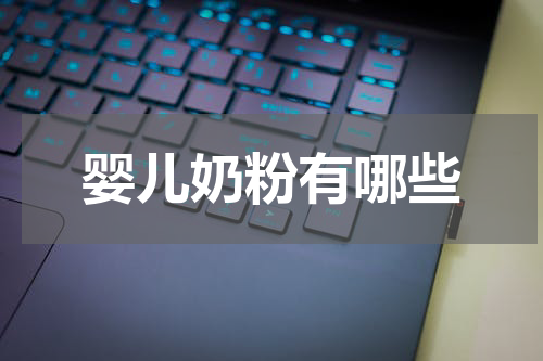 婴儿奶粉有哪些