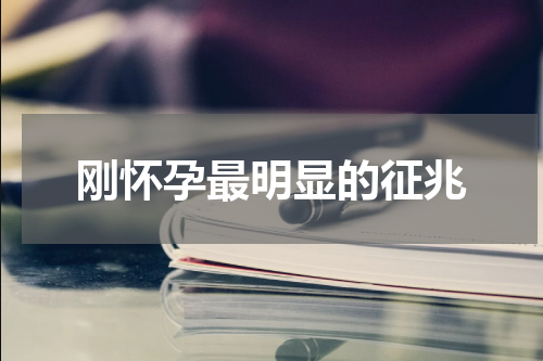 刚怀孕最明显的征兆