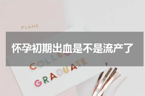 怀孕初期出血是不是流产了