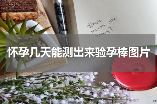 怀孕几天能测出来验孕棒图片
