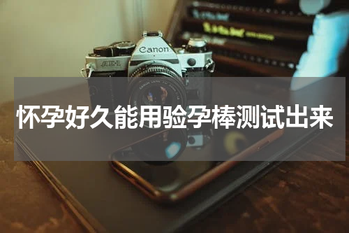 怀孕好久能用验孕棒测试出来