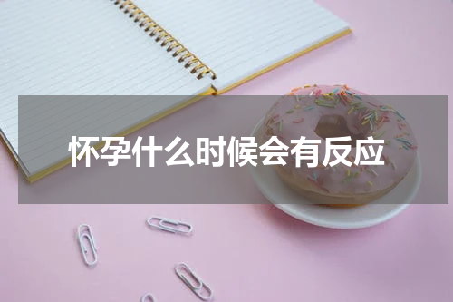 怀孕什么时候会有反应