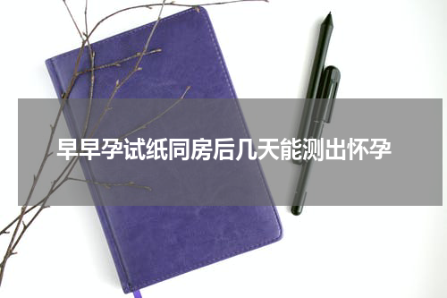 早早孕试纸同房后几天能测出怀孕
