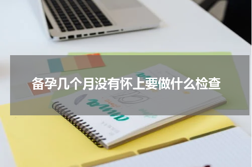 备孕几个月没有怀上要做什么检查