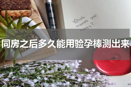 同房之后多久能用验孕棒测出来