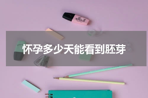 怀孕多少天能看到胚芽