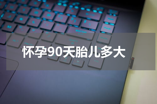 怀孕90天胎儿多大