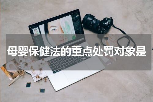 母婴保健法的重点处罚对象是