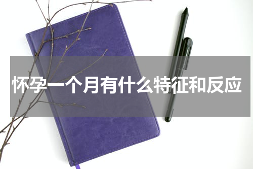 怀孕一个月有什么特征和反应