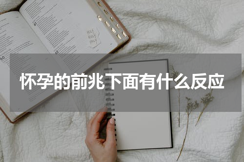 怀孕的前兆下面有什么反应