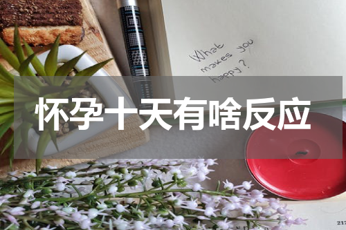 怀孕十天有啥反应