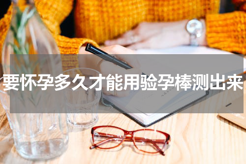 要怀孕多久才能用验孕棒测出来