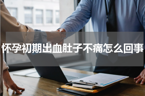 怀孕初期出血肚子不痛怎么回事