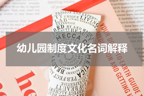幼儿园制度文化名词解释