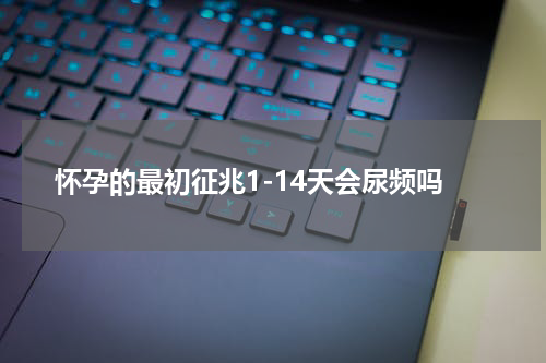 怀孕的最初征兆1-14天会尿频吗