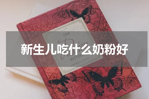 新生儿吃什么奶粉好