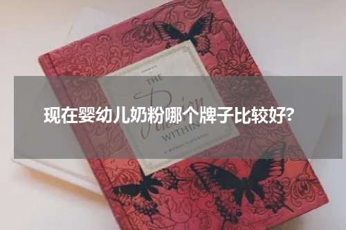 现在婴幼儿奶粉哪个牌子比较好?