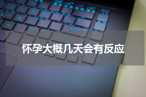 怀孕大概几天会有反应