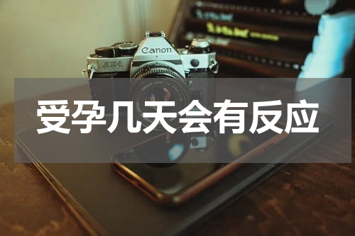 受孕几天会有反应