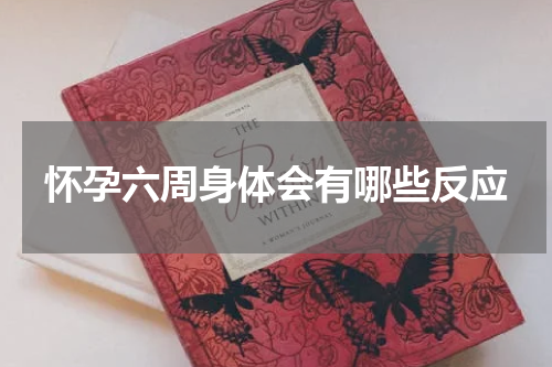 怀孕六周身体会有哪些反应