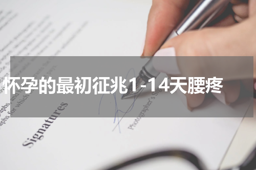 怀孕的最初征兆1-14天腰疼