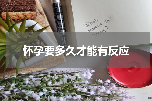 怀孕要多久才能有反应